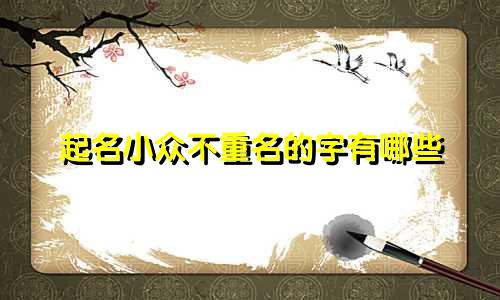 起名小众不重名的字有哪些