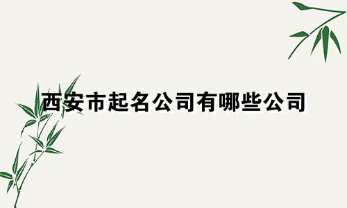 西安市起名公司有哪些公司