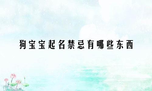 狗宝宝起名禁忌有哪些东西