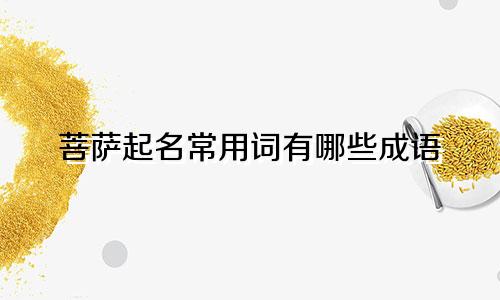 菩萨起名常用词有哪些成语