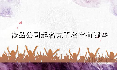 食品公司起名丸子名字有哪些