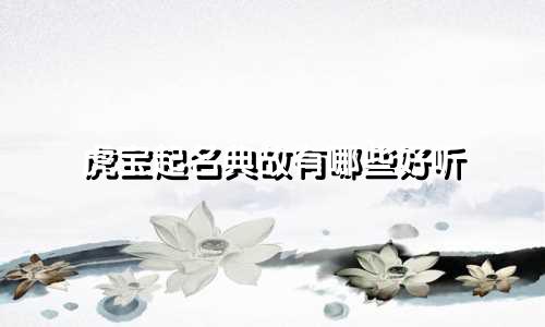虎宝起名典故有哪些好听