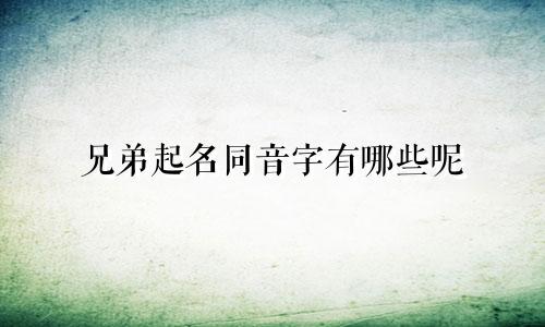 兄弟起名同音字有哪些呢