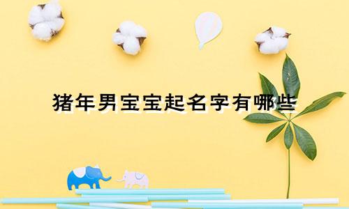 猪年男宝宝起名字有哪些