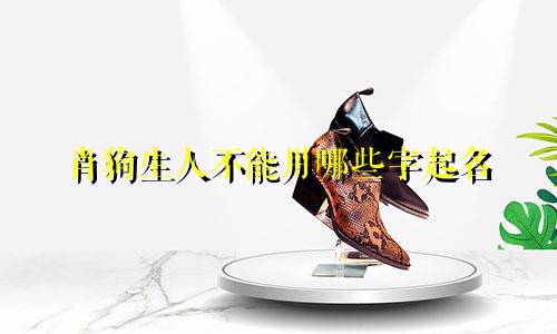 肖狗生人不能用哪些字起名