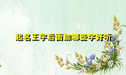 起名王宇后面加哪些字好听
