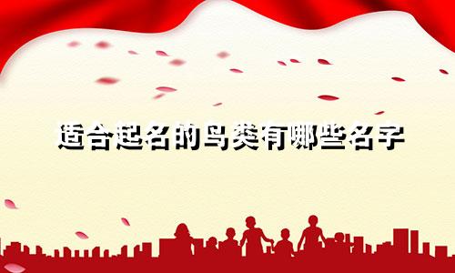 适合起名的鸟类有哪些名字