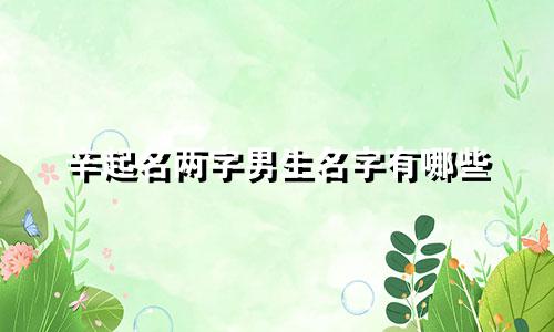 辛起名两字男生名字有哪些