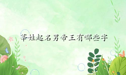 莘姓起名男帝王有哪些字