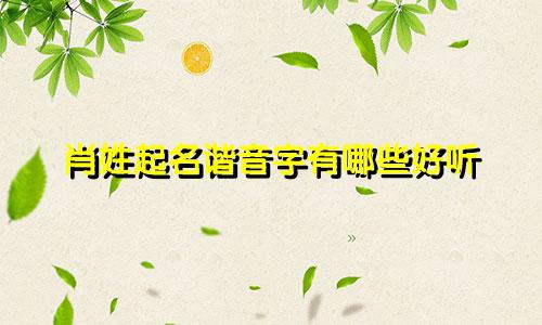 肖姓起名谐音字有哪些好听