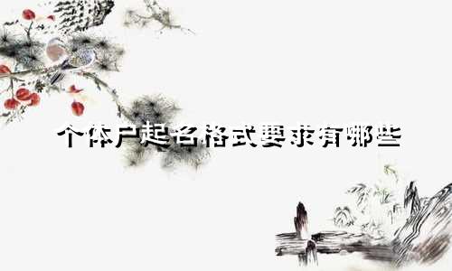 个体户起名格式要求有哪些
