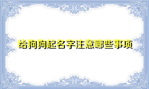 给狗狗起名字注意哪些事项