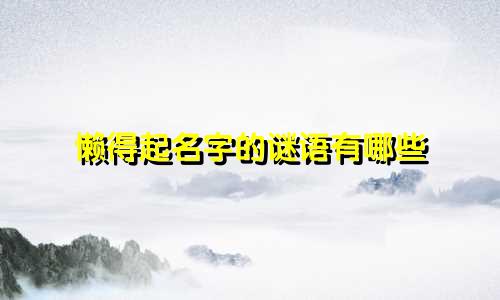 懒得起名字的谜语有哪些