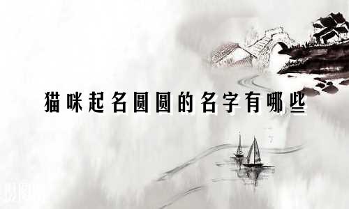 猫咪起名圆圆的名字有哪些