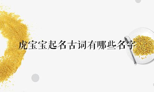 虎宝宝起名古词有哪些名字