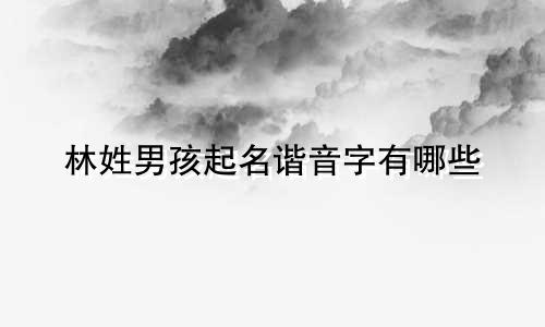 林姓男孩起名谐音字有哪些