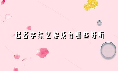 起名字综艺游戏有哪些好听