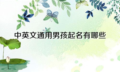 中英文通用男孩起名有哪些