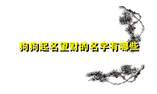 狗狗起名望财的名字有哪些