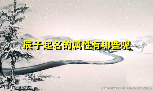 辰子起名的属性有哪些呢