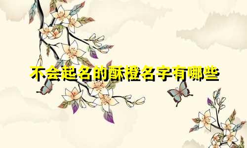 不会起名的酥橙名字有哪些