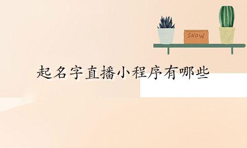 起名字直播小程序有哪些