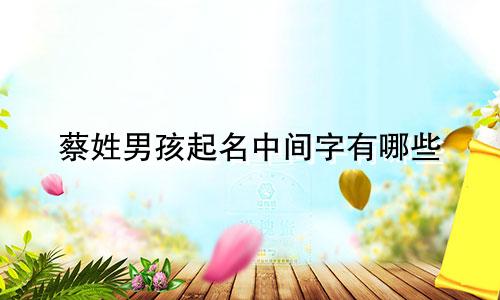 蔡姓男孩起名中间字有哪些
