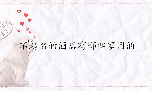 不起名的酒店有哪些家用的