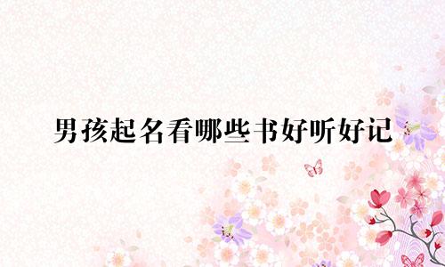 男孩起名看哪些书好听好记
