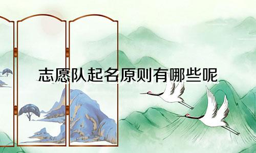 志愿队起名原则有哪些呢