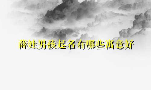 薛姓男孩起名有哪些寓意好