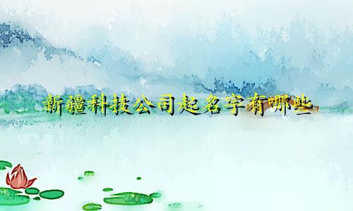 新疆科技公司起名字有哪些