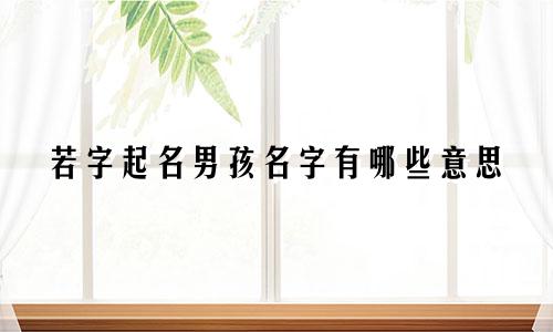 若字起名男孩名字有哪些意思