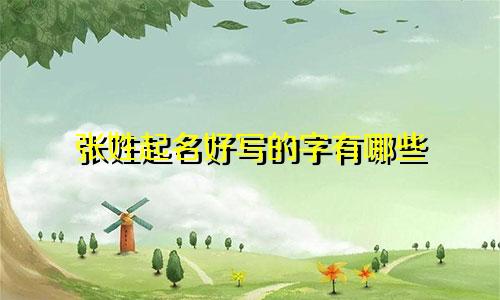 张姓起名好写的字有哪些
