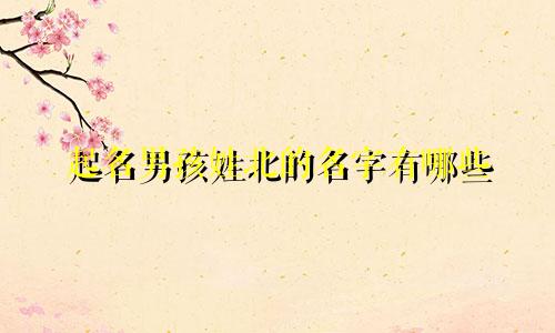 起名男孩姓北的名字有哪些