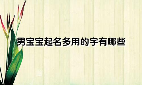 男宝宝起名多用的字有哪些