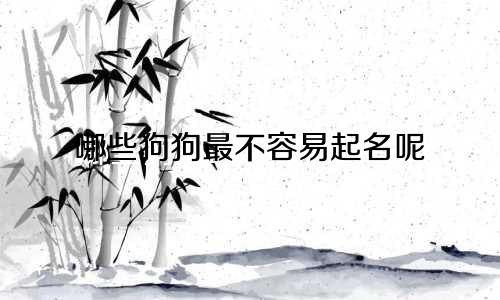 哪些狗狗最不容易起名呢
