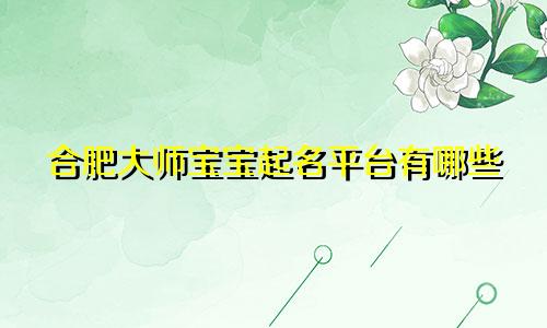 合肥大师宝宝起名平台有哪些