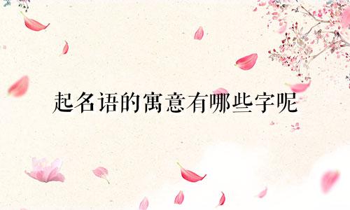 起名语的寓意有哪些字呢