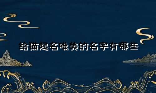 给猫起名唯美的名字有哪些