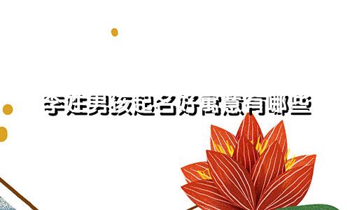 李姓男孩起名好寓意有哪些