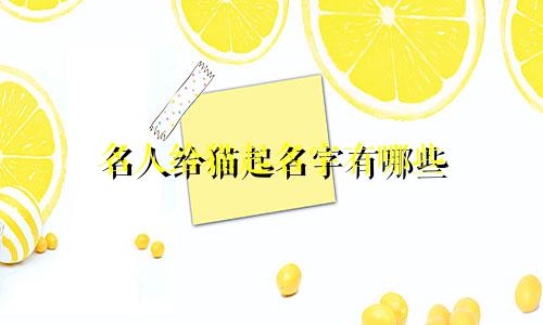 名人给猫起名字有哪些