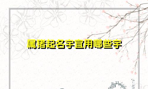 属猪起名字宜用哪些字