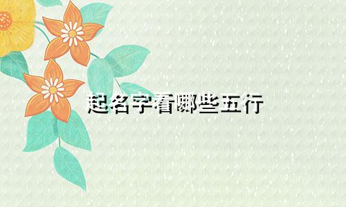 起名字看哪些五行