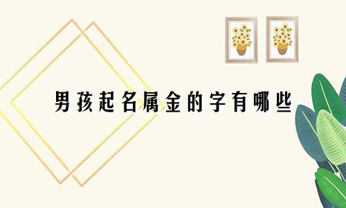 男孩起名属金的字有哪些