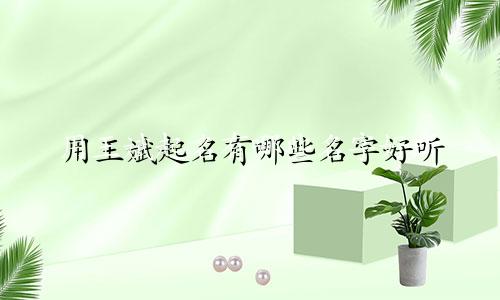 用王斌起名有哪些名字好听
