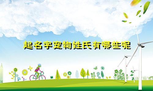 起名字宠物姓氏有哪些呢