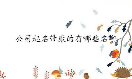 公司起名带康的有哪些名字