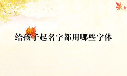 给孩子起名字都用哪些字体