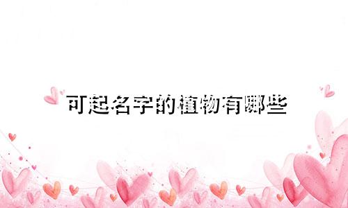 可起名字的植物有哪些